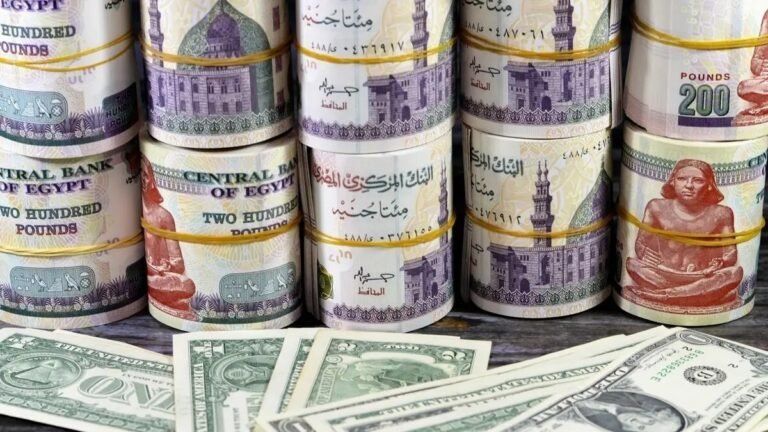 وزير-المالية-المصري-الموازنة-الجديدة-طموحة-والفترة-الراهنة-هي-الأفضل.jpg