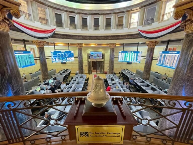 ضمن-خطة-بيع-الأصول-مصر-تقيد-4-شركات-حكومية-في.jpeg