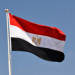 بعد-توجيهات-السيسي-إعادة-هيكلة-جهاز-مستقبل-مصر-ونقله-من.png