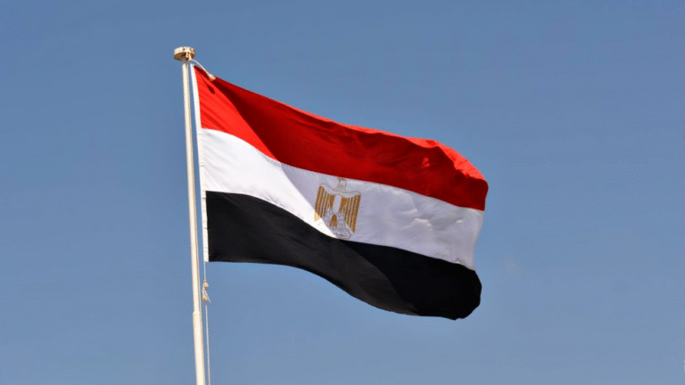 بعد-توجيهات-السيسي-إعادة-هيكلة-جهاز-مستقبل-مصر-ونقله-من.png